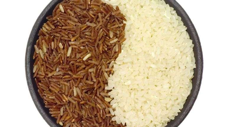 Καστανή πρωτεΐνη ρυζιού