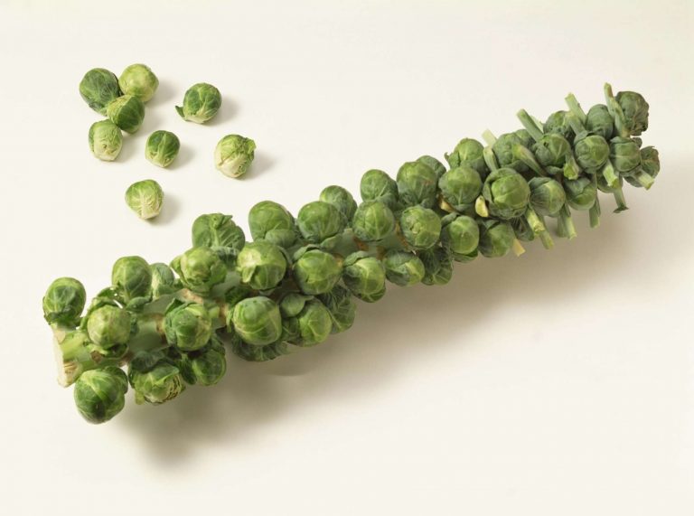 Λαχανάκια Βρυξελλών 10 λόγοι για να τα εντάξουμε στην διατροφή μας