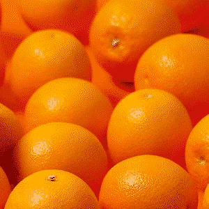 Έντεχνη δράση άρθρο ψυχοθεραπείας