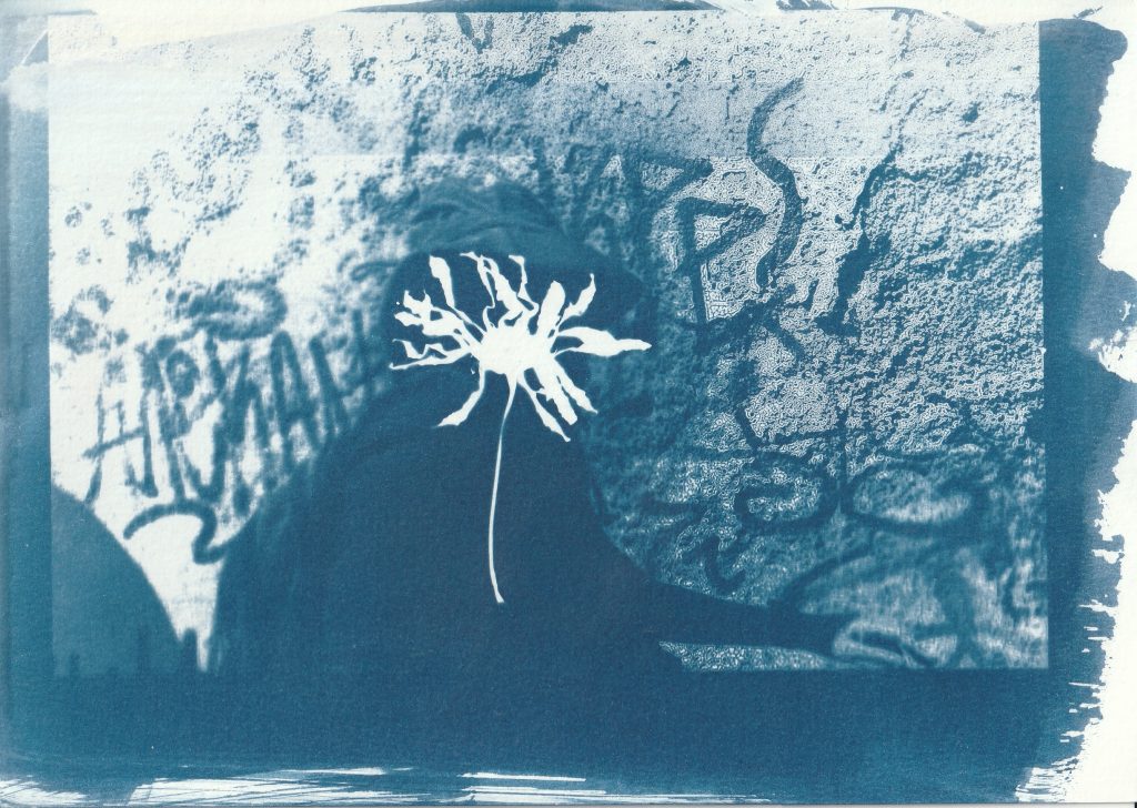 Σεμινάριο Κυανοτυπίας: Παίζοντας με το φως